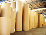 papel liner